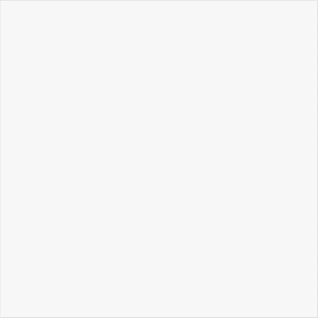 Snow White Polished Porcelain Tiles 600x600mm