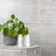 Coast Oyster Shell Grey Matt Stone Effect Wall And Floor Tiles