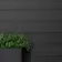 LuxeLine Composite Classic Fence Slats 180cm - Dark Grey (Pack of 2)
