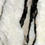 Color: White Onyx Marble