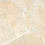 Color: Beige/Ivory