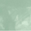 Color: Green