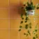 Capsule® Yellow Gloss Flat 150x150 Wall Tiles