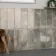 Passion Onyx Pear Light Green Marble Effect Wall Tiles