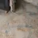 Tapestry Multicolour Matt Vintage Patterned Wall and Floor Tiles