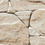 Color: Cream