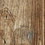 Color: Cool Oak