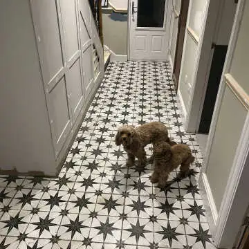 Scintilla Black Star Pattern Tiles