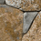 Color: Grey and Brown