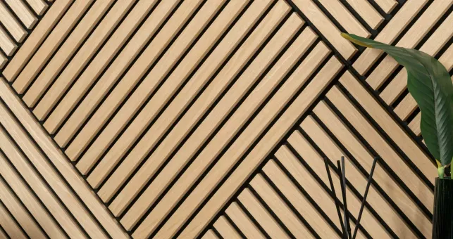 Difference Between Echo and Reverberation: Causes and Fixes