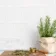Rustic Ceramic White Gloss Mini Metro Wall Tiles