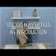 Stucco Brown Stone Effect 3D Decor Wall Tiles