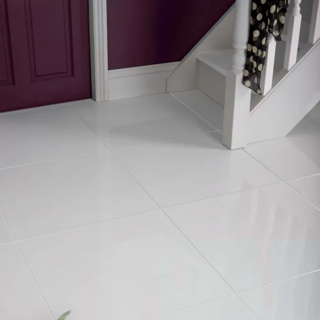 Snow White Polished Porcelain Tiles 600x600mm