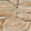 Color: Beige