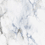 Color: White