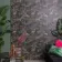 Trepanel Design® Tropical Jungle Acoustic Wood Wall Panels