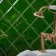 Capsule® Victorian Green Gloss Bevelled 150x150 Wall Tiles