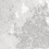 Color: Silver Grey