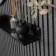 Trepanel Customise® Black Shelf 759mm Inc Brass Twist-Lock System