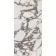 Lux Polished Wall and Floor Tiles
