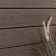 LuxeLine® Walnut Embossed Shiplap Composite Wall Cladding - 2900mm