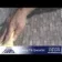 LTP Tile Grout Stain Remover