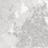 Color: Silver Grey