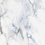 Color: White