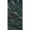 Deluxe Green Polished Marble Effect Wall and Floor Tiles