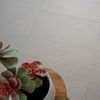 Salon Porcelain Grey Anti Slip Tiles