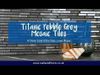 Titanic Linear Pebble Grey Mosaic Tiles