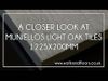 Muniellos Light Oak Wood Effect Tiles