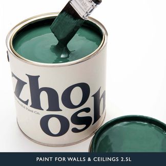 Hip Hop Green Paint for Walls & Ceilings
