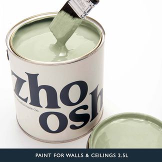 Smooth Green Paint for Walls & Ceilings