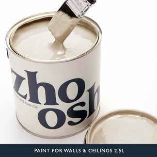 Soulful Beige Paint for Walls & Ceilings