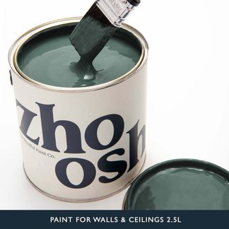 Soulful Green Paint for Walls & Ceilings