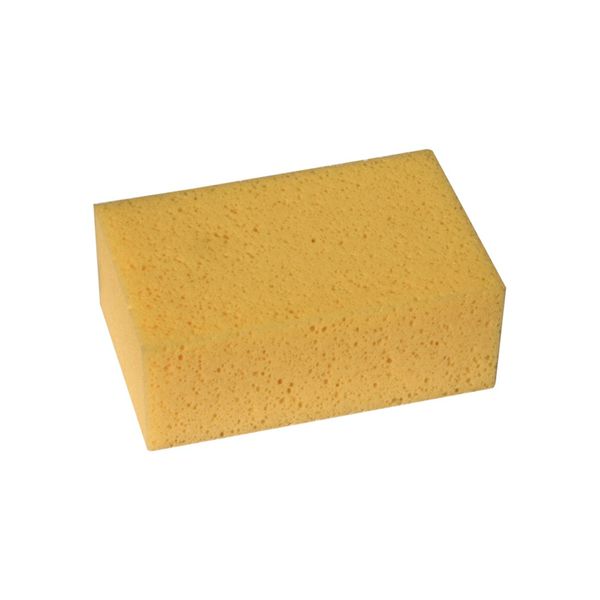 Genesis Pro Hydro Sponge