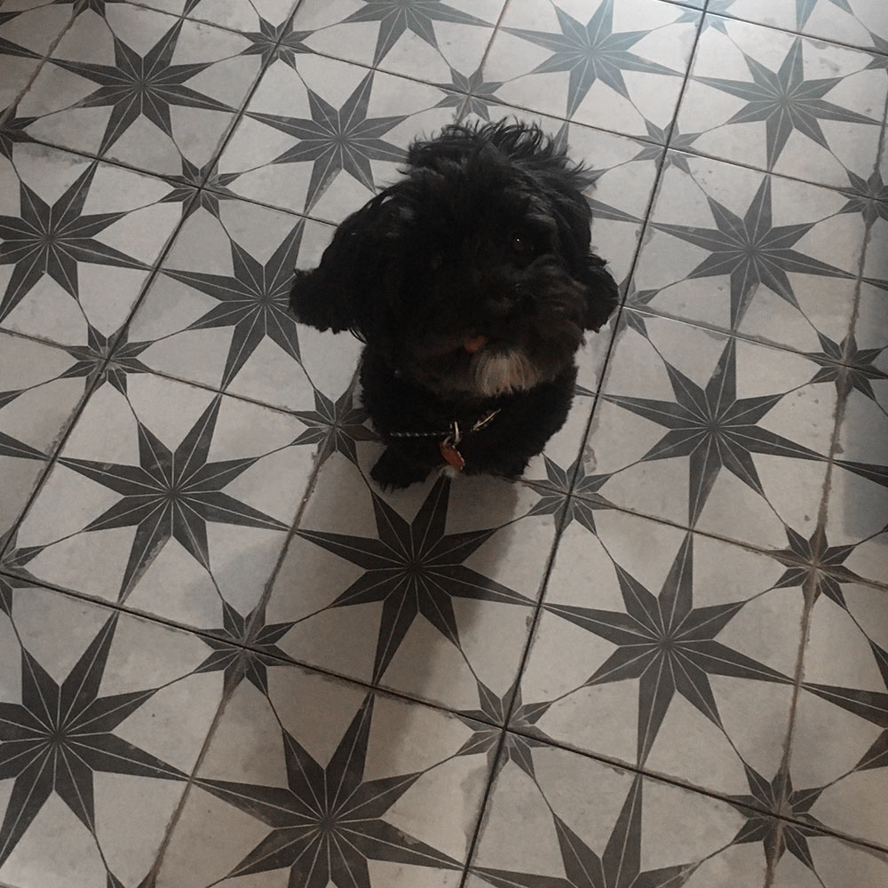 Scintilla star patterned kitchen floor tiles