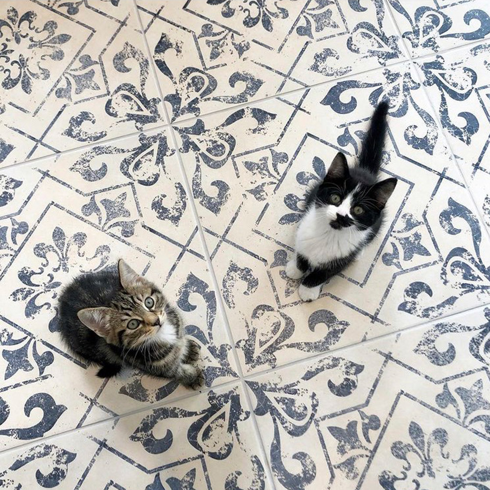 2 cats sitting on a patterned floor made with harran antique tiles