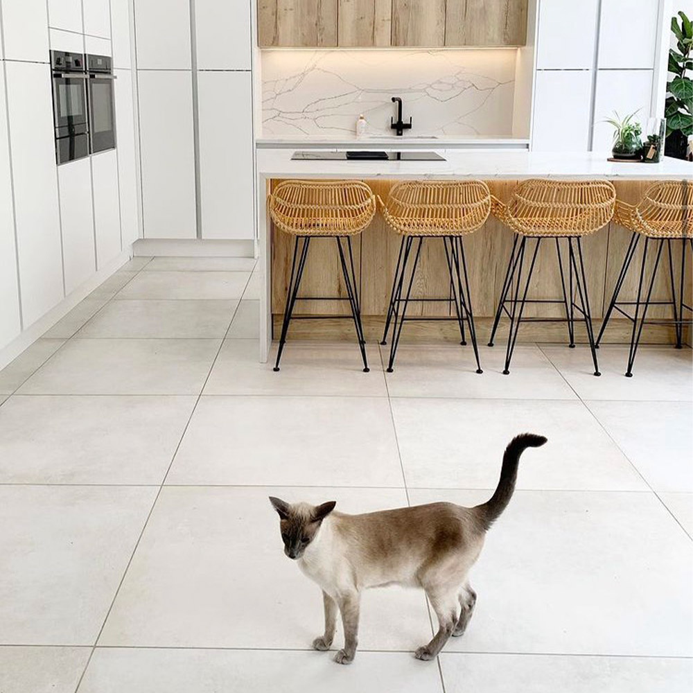 Brown and white cat in front of a white kitchen with wicker chairs