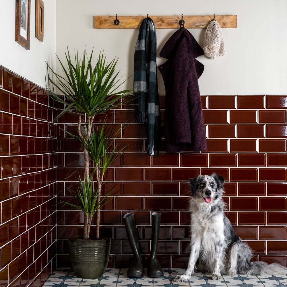 red victorian metro tiles on a wall with a dog and wellies